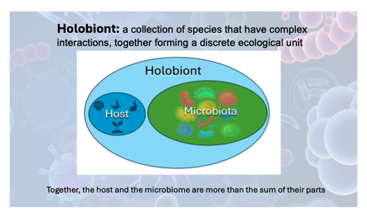 holobiont diagram
